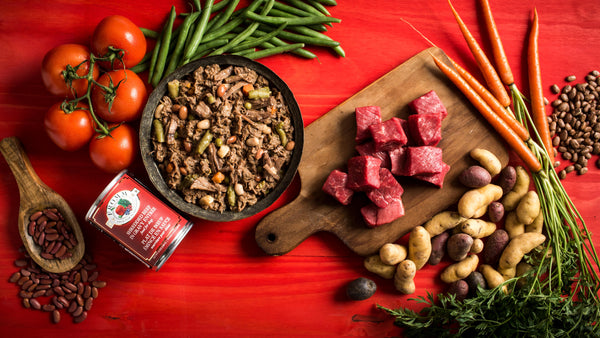 Fromm Four-Star Nutritionals Shredded Beef in Gravy Entree Canned Dog Food