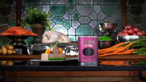 Fromm Salmon & Chicken Pate Canned Dog Food