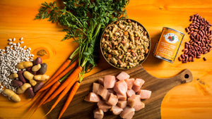 La nourriture Fromm Four-Star Nutritionals Plat de poulet émincé en sauce pour chiens