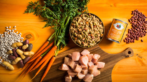 Fromm Four-Star Nutritionals Shredded Chicken in Gravy Entree Canned Dog Food