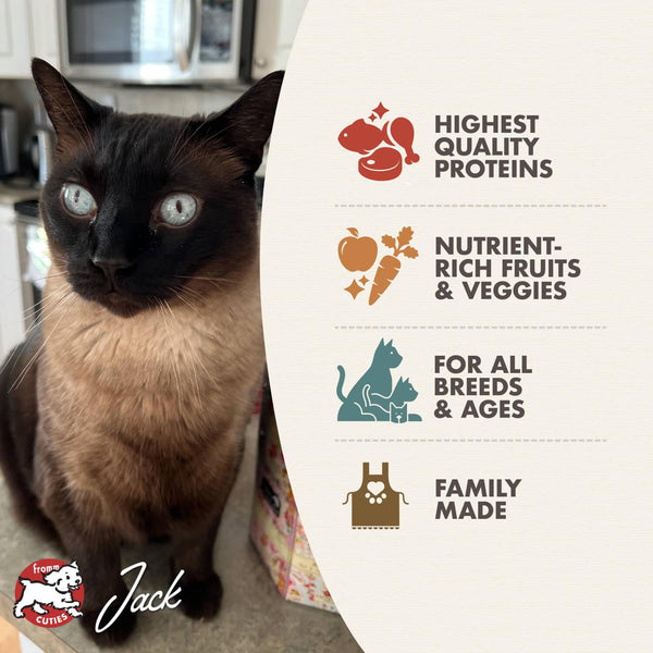 Fromm Four-Star Nutritionals Surf & Turf Dry Cat Food