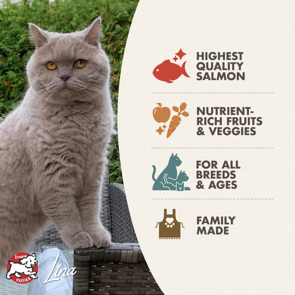 Fromm Four-Star Nutritionals Salmon Tunachovy Dry Cat Food