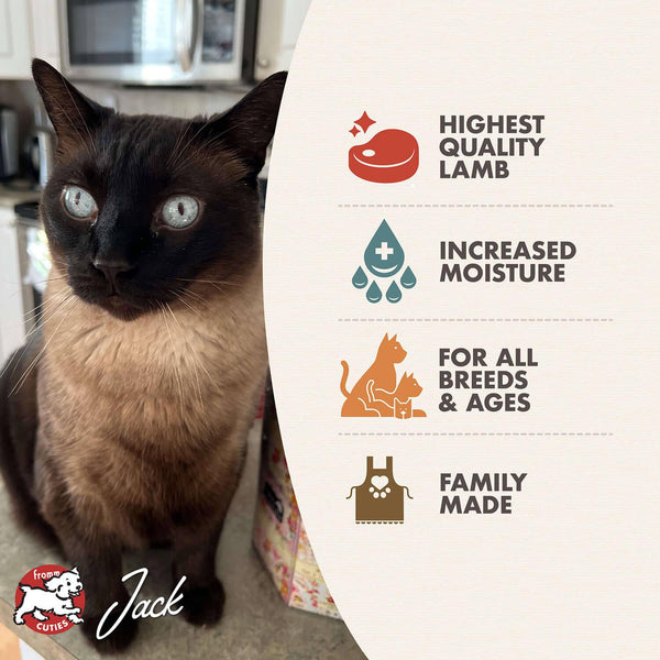 Fromm Four-Star Nutritionals Lamb Pate Wet Cat Food Can
