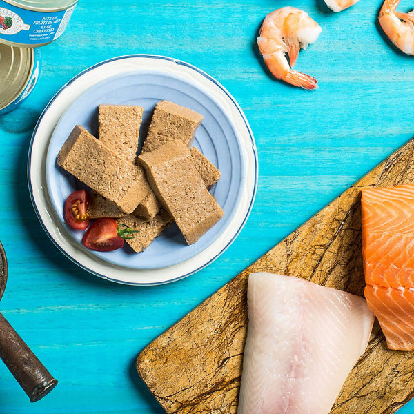 Fromm Four-Star Nutritionals Nourriture en conserve pour chat aux fruits de mer et aux crevettes