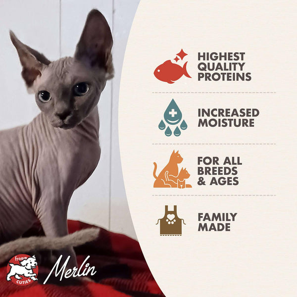 Fromm Four-Star Nutritionals Nourriture en conserve pour chat aux fruits de mer et aux crevettes