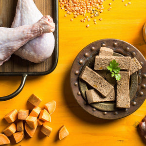 Fromm Four-Star Nutritionals Nourriture pour chat en conserve à la dinde et au canard