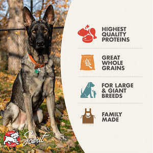 Fromm Family Gold Large Breed Adult Dry Dog Food