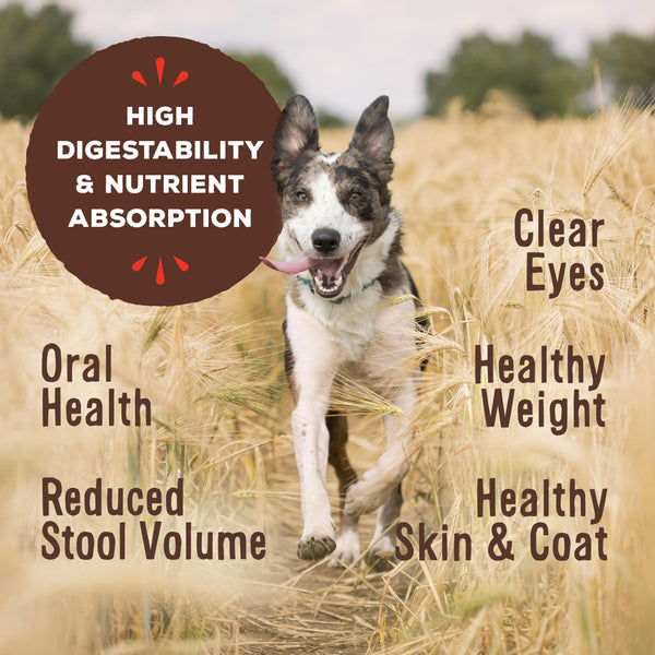 Primal Pronto Raw Frozen Chicken Formula Dog Food