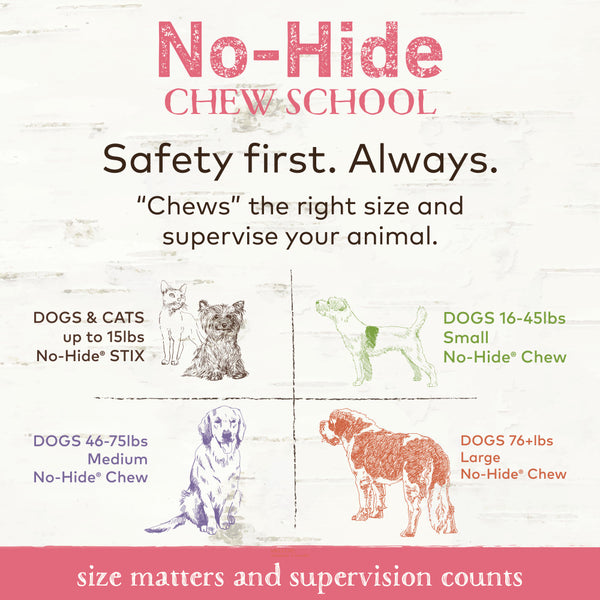 Earth Animal No-Hide Salmon Chew Dog Treat