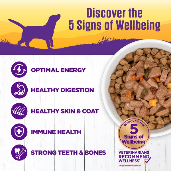 Wellness Complete Health Turkey & Duck Stew Wet Dog Food Can