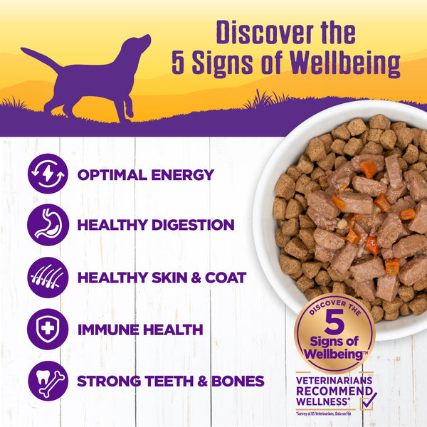 Wellness Complete Health Turkey Stew Wet Dog Food Can