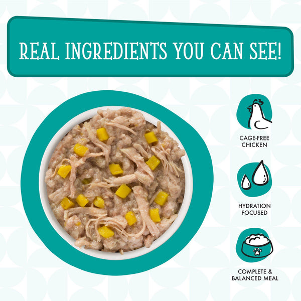 Dogs in the Kitchen Funk in the Trunk with Chicken Breast & Pumpkin Au Jus Wet Dog Food Pouch