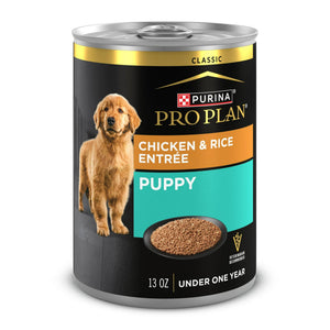 Purina Pro Plan Focus Puppy Entrée Classique Poulet & Riz Pâtée pour chiens en conserve