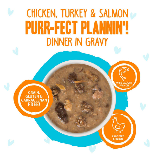 BFF OMG GRAVY Chicken, Turkey, & Salmon Purr-Fect Plannin'! Dinner in Gravy Wet Cat Food Pouch