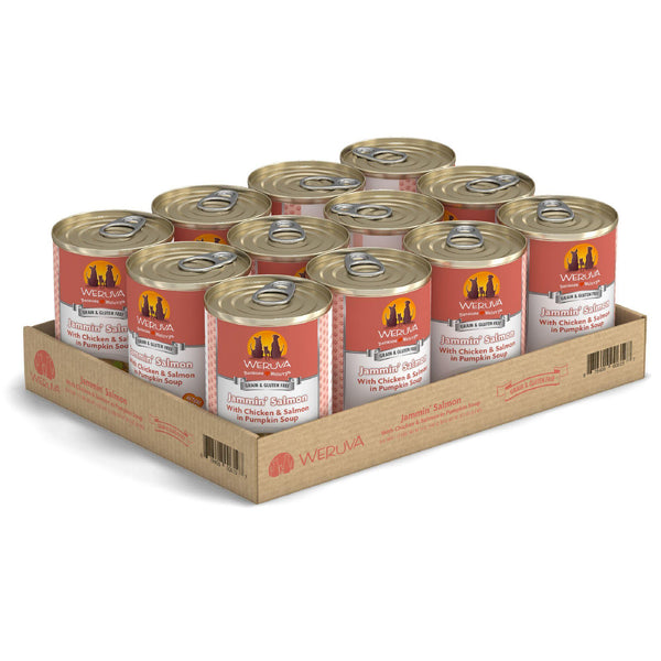 Weruva Classic Dog Jammin' Salmon with Chicken & Salmon in Pumpkin Soup Wet Dog Food Can