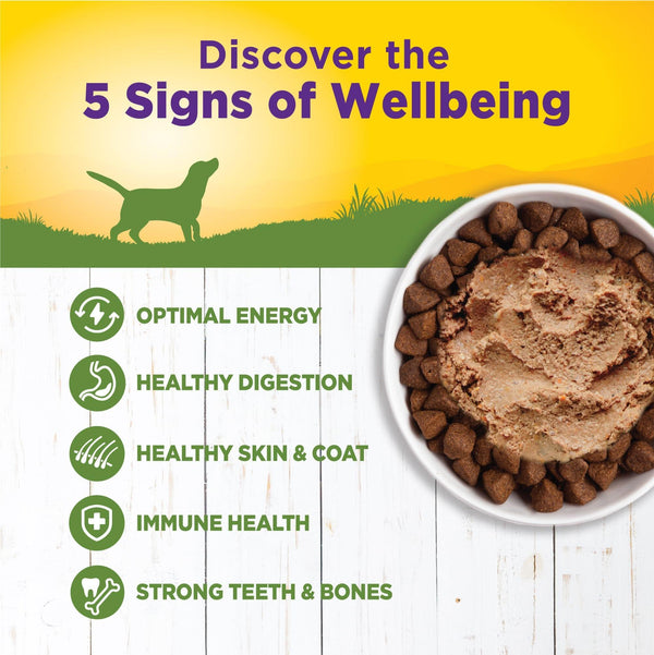 Wellness Complete Health Lamb & Sweet Potato Wet Dog Food Can