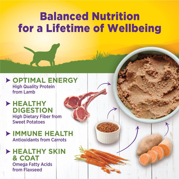 Wellness Complete Health Lamb & Sweet Potato Wet Dog Food Can