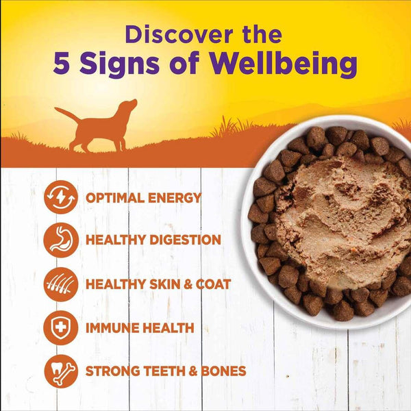 Wellness Complete Health Turkey & Sweet Potato Wet Dog Food Can
