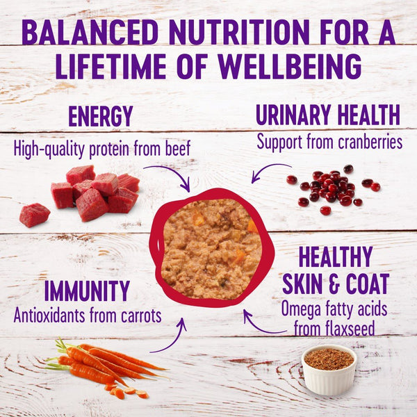 Wellness Complete Health Pate Beef & Chicken Formula Grain-Free Wet Cat Food Cans
