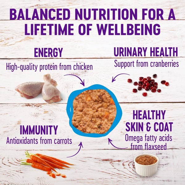 Wellness Complete Health Pate Chicken & Herring Formula Grain-Free Wet Cat Food Cans