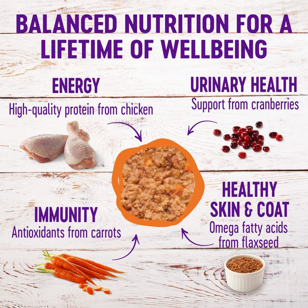Wellness Complete Health Pate Chicken Entree Grain-Free Wet Cat Food Cans