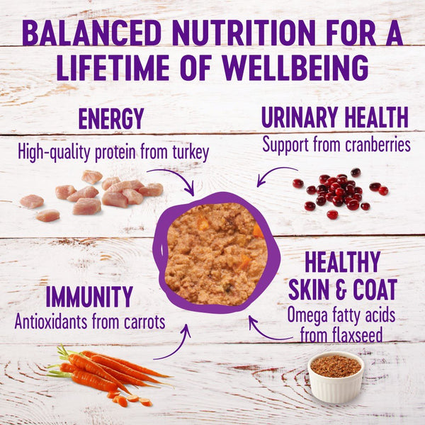 Wellness Complete Health Pate Turkey & Salmon Formula Grain-Free Wet Cat Food Cans