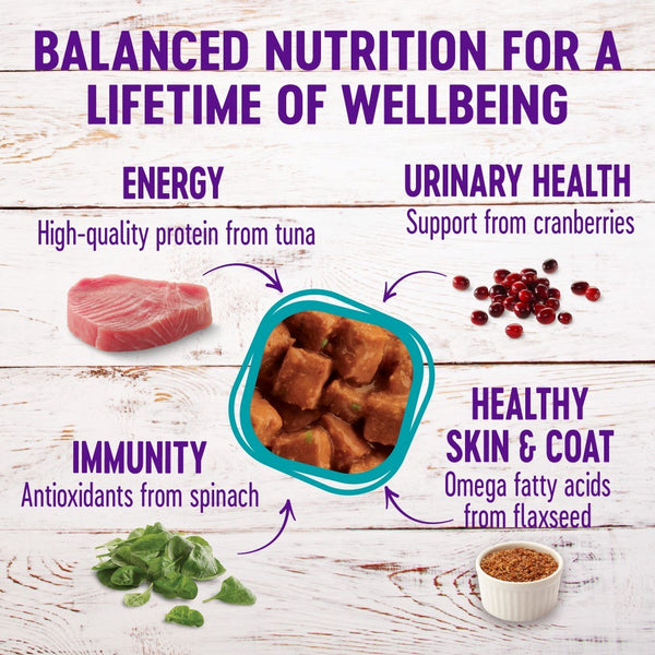 Wellness Complete Health Grain-Free Morsels Tuna Entree Wet Cat Food Cans