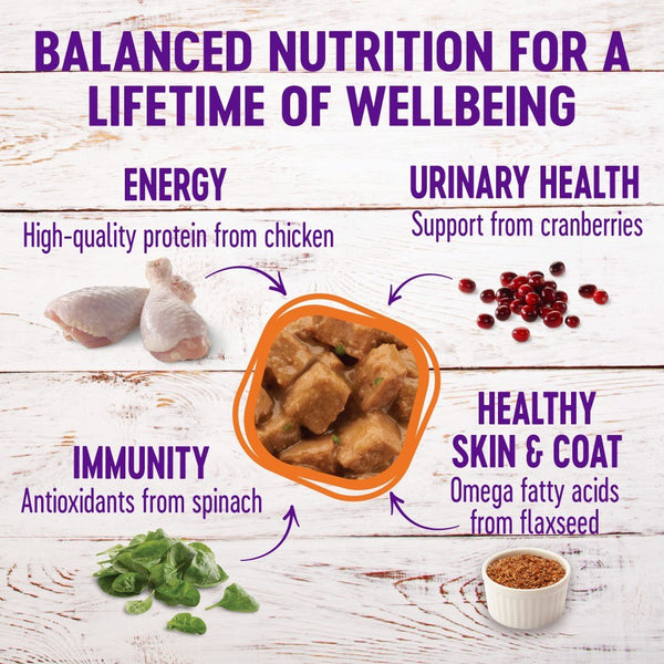Wellness Complete Health Grain-Free Morsels Chicken Entree Wet Cat Food Cans