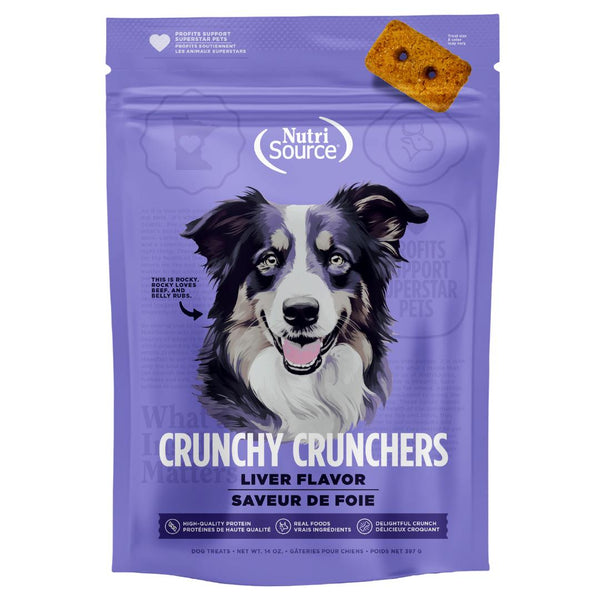gâteries pour chien NutriSource Biscuits sans grains, 14 oz
