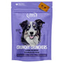 gâteries pour chien NutriSource Biscuits sans grains, 14 oz