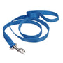 Coastal Single-Ply Dog Leash, Blue Lagoon