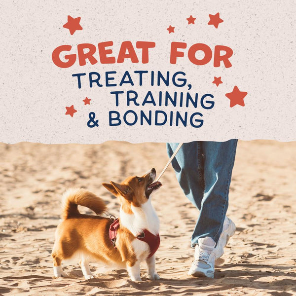 Natural Balance Rewards Biscuits Croquants aux Vrais Saumons Friandises pour chiens, 14 oz