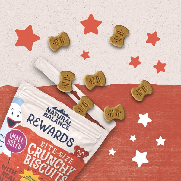 Natural Balance Rewards Biscuits croquants au saumon véritable Friandises pour petites races de chiens, 8 oz