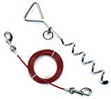 Coastal Spiral Stake/Tie Out Combo, 15-ft
