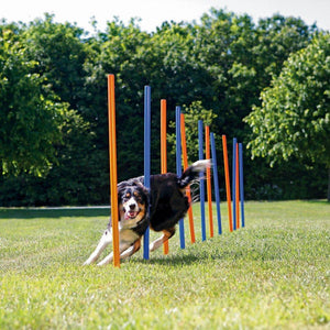 Trixie Agility Slalom Dog Training Poles, 3-cm x 115-cm, 12-pk