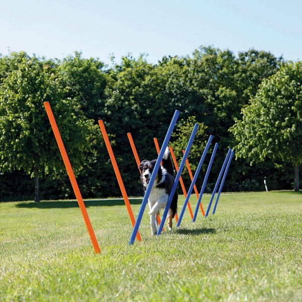 Trixie Agility Slalom Dog Training Poles, 3-cm x 115-cm, 12-pk