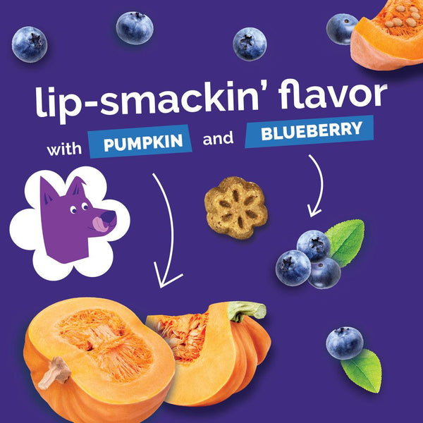 Fruitables Skinny Minis Pumpkin & Berry Dog Treats, 5-oz