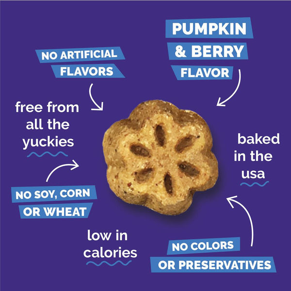 Fruitables Skinny Minis Pumpkin & Berry Dog Treats, 5-oz