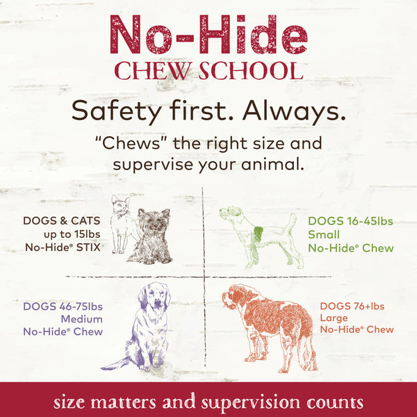 Earth Animal No-Hide Beef Stix Chew Dog Treat