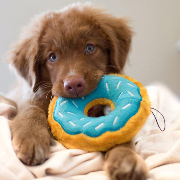 ZippyPaws Donutz Blueberry Dog Toy, Blue/Yellow
