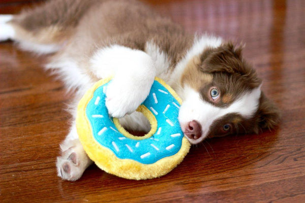 ZippyPaws Donutz Blueberry Dog Toy, Blue/Yellow