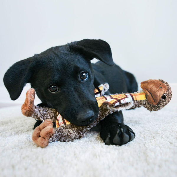 KONG Shakers Luvs Bird Dog Toy