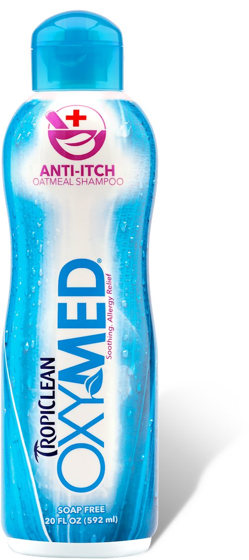 Tropiclean OXY-MED Shampooing anti-démangeaisons à l'avoine pour chien et chat, bouteille de 20 oz