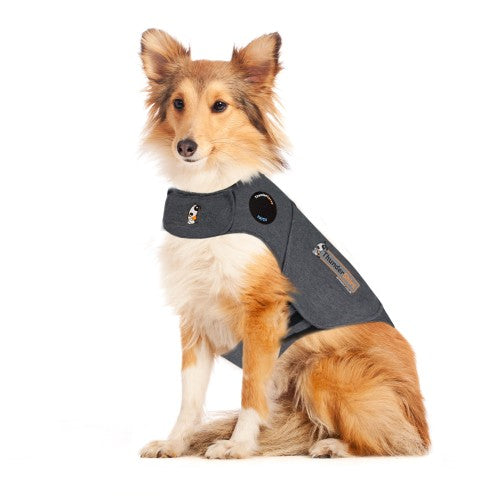 ThunderShirt Anxiety & Calming Aid for Dogs, Heather Grey