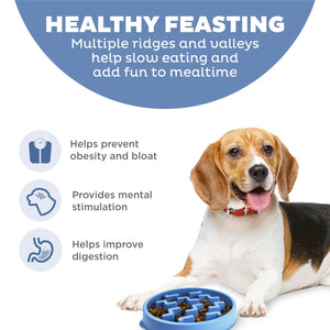 Outward Hound Fun Feeder Slo Bowl Dog Slow Feeder, Blue