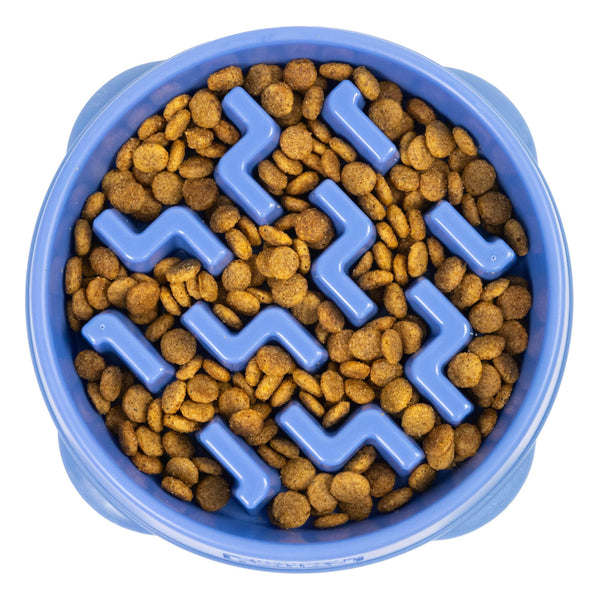 Outward Hound Fun Feeder Slo Bowl Dog Slow Feeder, Blue