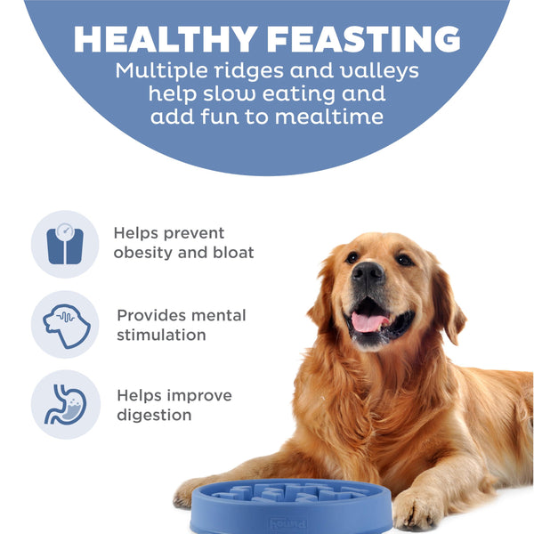 Outward Hound Fun Feeder Slo Bowl Dog Slow Feeder, Blue