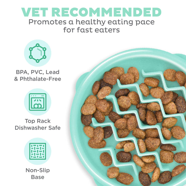 Outward Hound Fun Feeder Slo Bowl Dog Slow Feeder, Mint, Small/Tiny