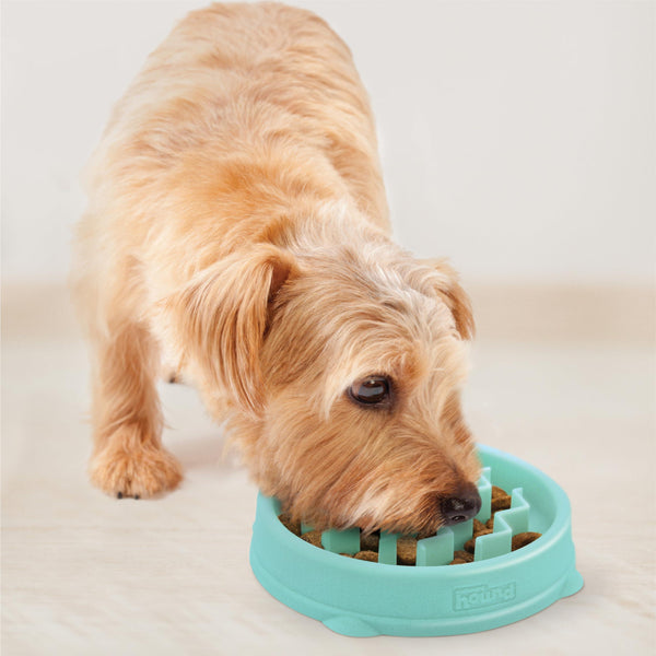 Outward Hound Fun Feeder Slo Bowl Dog Slow Feeder, Mint, Small/Tiny
