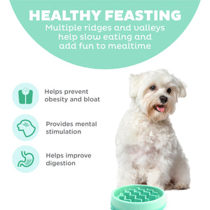 Outward Hound Fun Feeder Slo Bowl Dog Slow Feeder, Mint, Small/Tiny